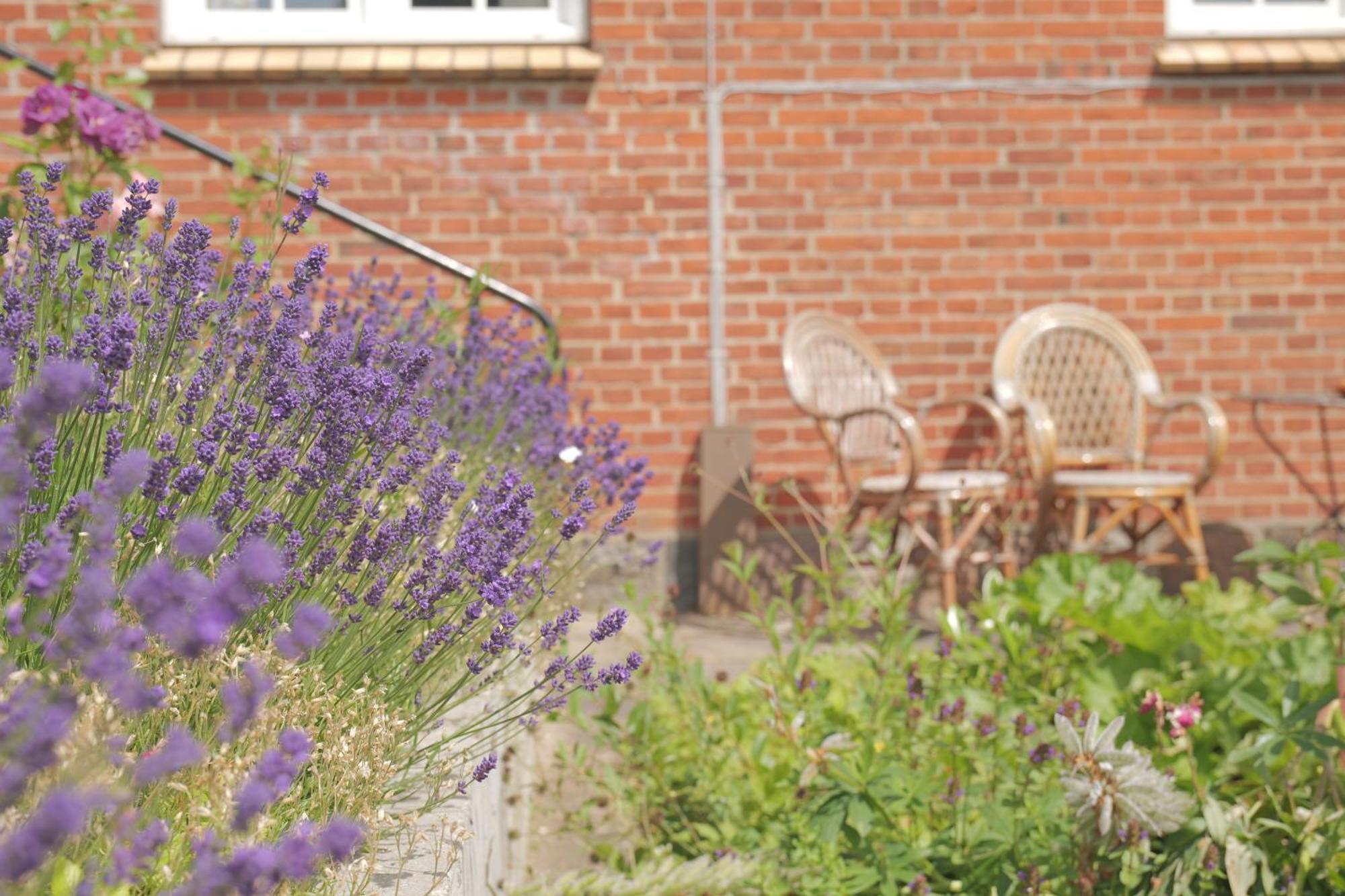 Bed and Breakfast Huset I Hejls Exteriér fotografie
